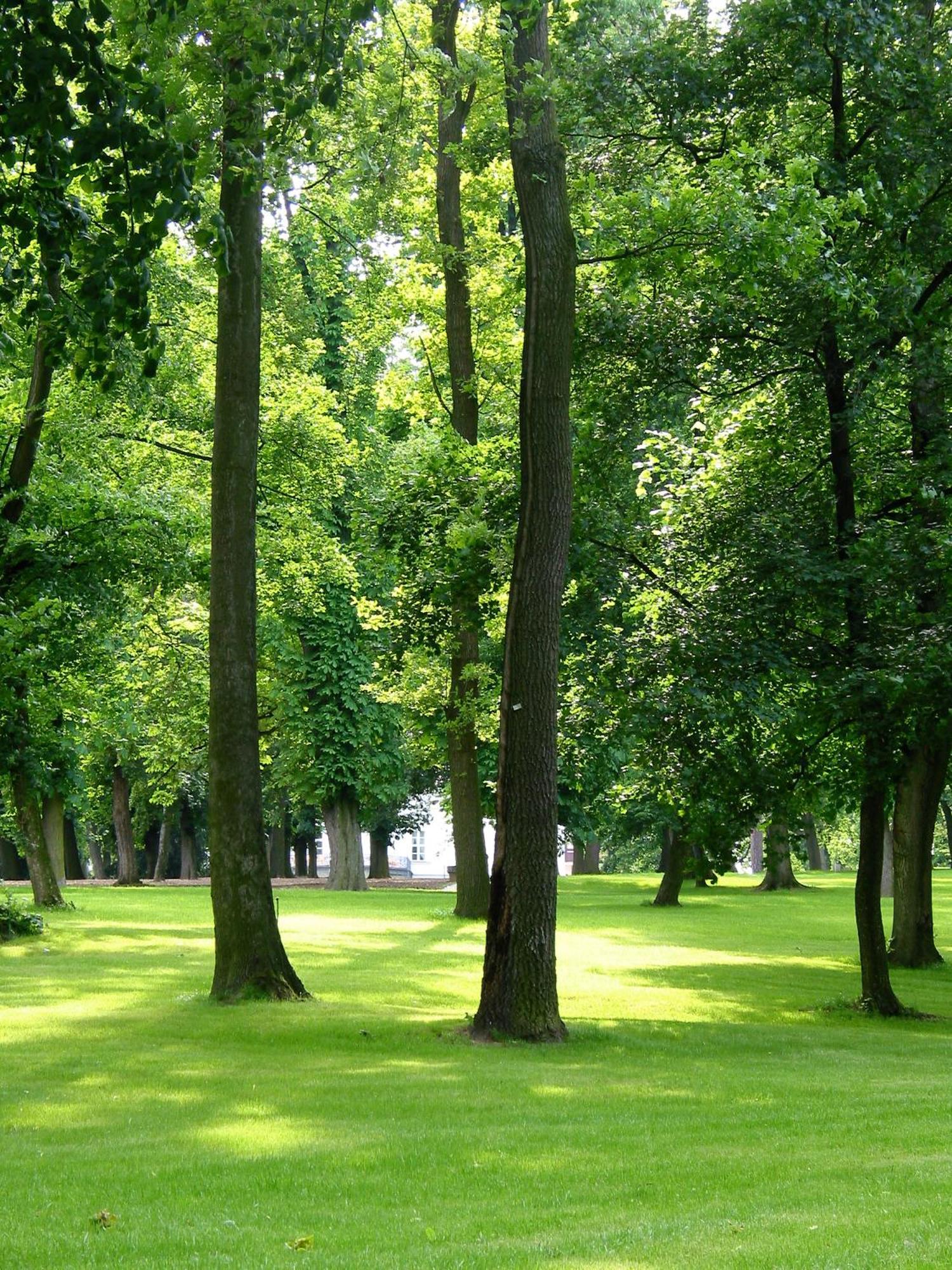 Park Hotel Tartuf Beladice Zewnętrze zdjęcie